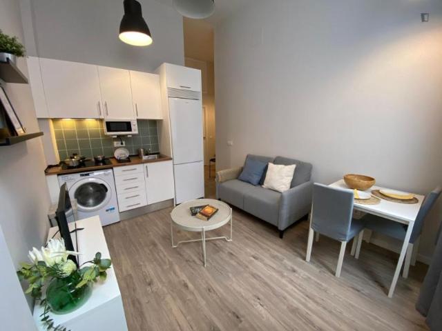 1 Dormitorio Apartamentos Madrid Madrid 105184814