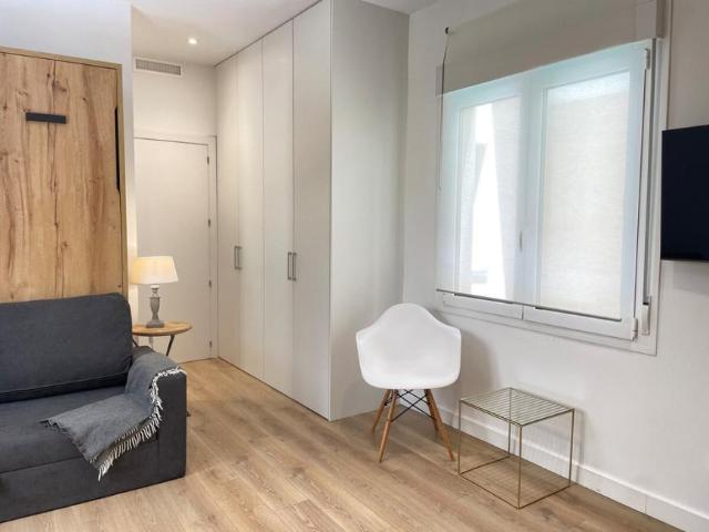 1 Dormitorio Apartamentos Madrid Madrid 105360748