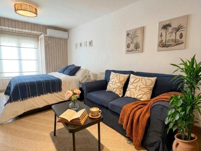 1 Dormitorio Apartamentos Madrid Madrid 102554027