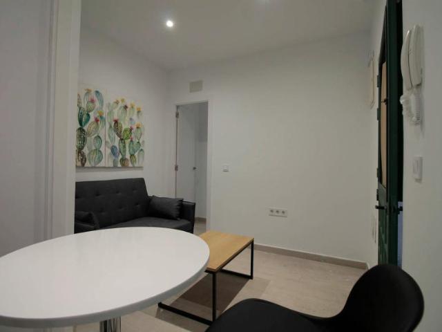 1 Dormitorio Apartamentos Madrid Madrid 102854633