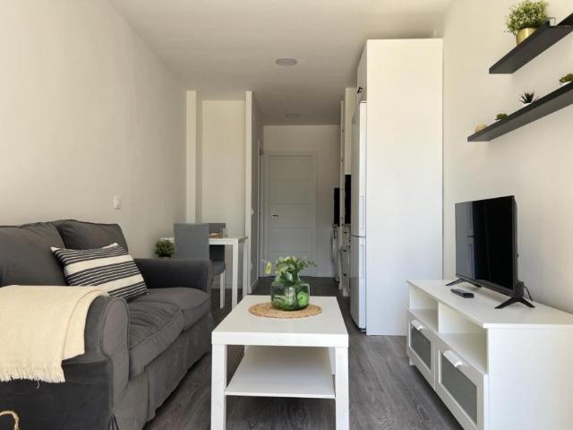 1 Dormitorio Apartamentos Madrid Madrid 103267271