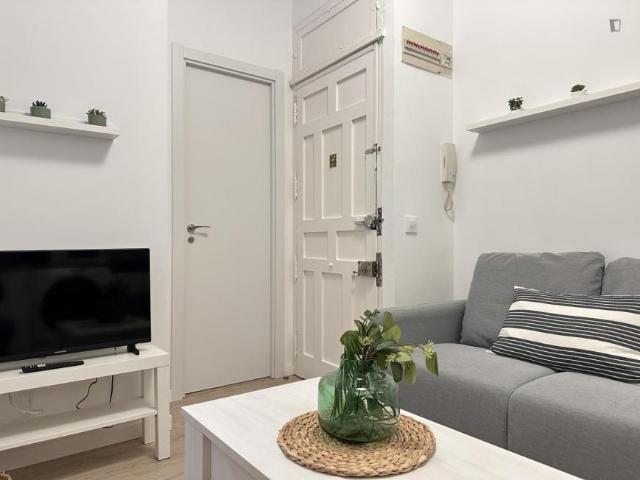 1 Dormitorio Apartamentos Madrid Madrid 103268765