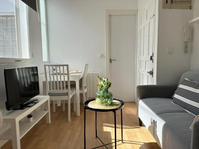 1 Dormitorio Apartamentos Madrid Madrid 103269170