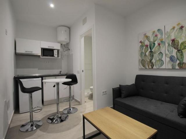 1 Dormitorio Apartamentos Madrid Madrid 103263223