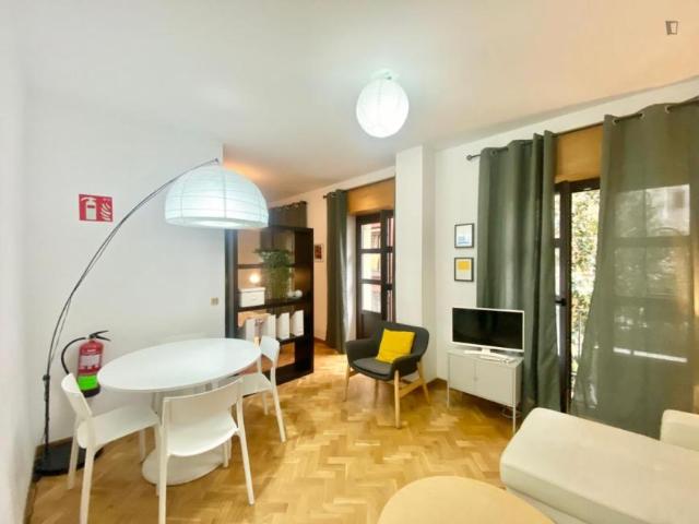 1 Dormitorio Apartamentos Madrid Madrid 103279003