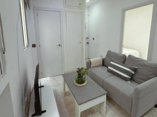 1 Dormitorio Apartamentos Madrid Madrid 103270083