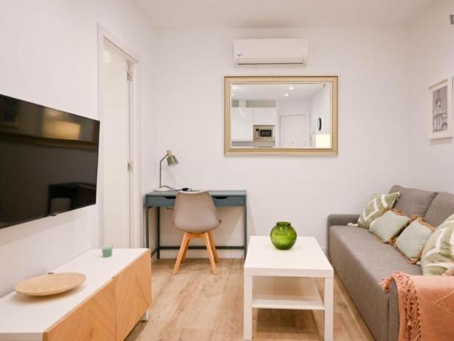 1 Dormitorio Apartamentos Madrid Madrid 103280422
