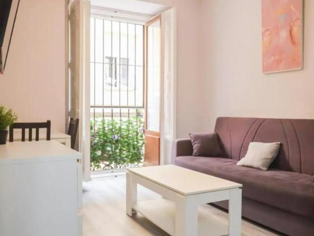 1 Dormitorio Apartamentos Madrid Madrid 103654511