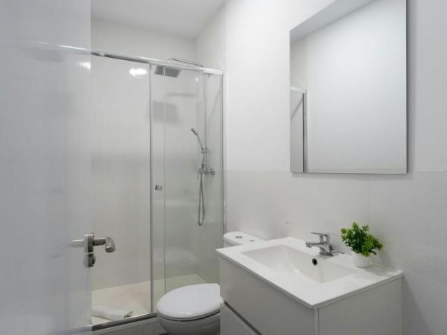 1 Dormitorio Apartamentos Madrid Madrid 103922112