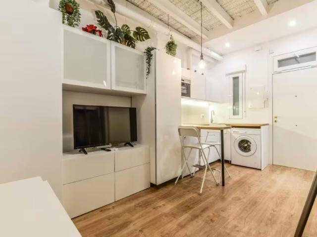 1 Dormitorio Apartamentos Madrid Madrid 98022780