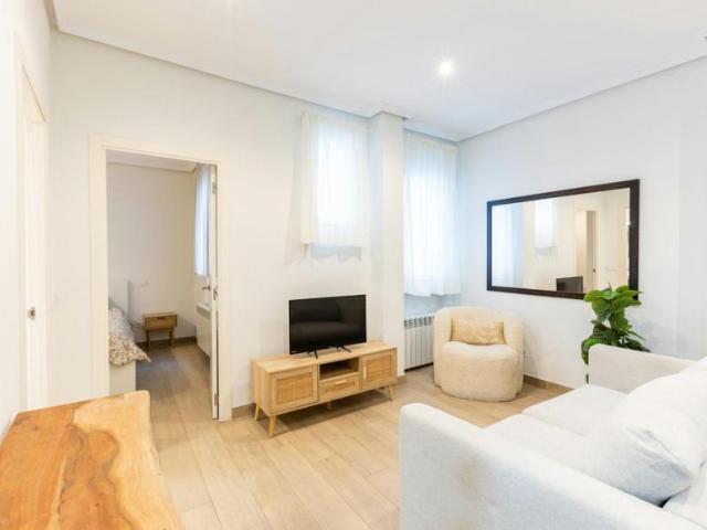 1 Dormitorio Apartamentos Madrid Madrid LS104225209