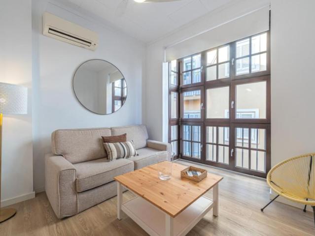 1 Dormitorio Apartamentos Málaga Málaga 104145472