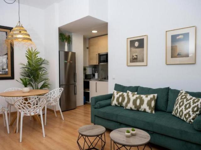 1 Dormitorio Apartamentos Málaga Málaga 104185847