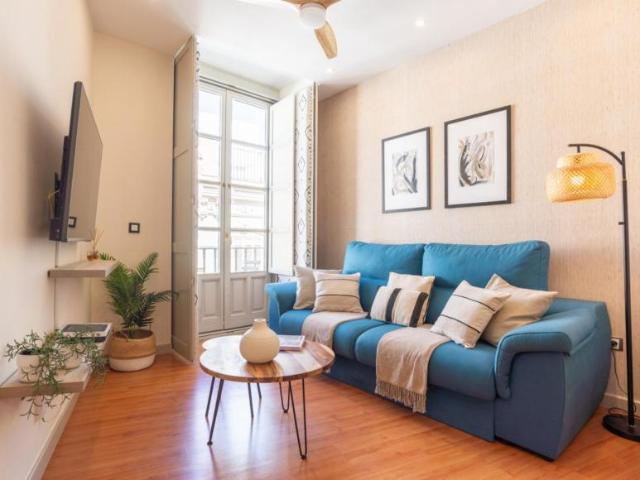 1 Dormitorio Apartamentos Málaga Málaga 104565262