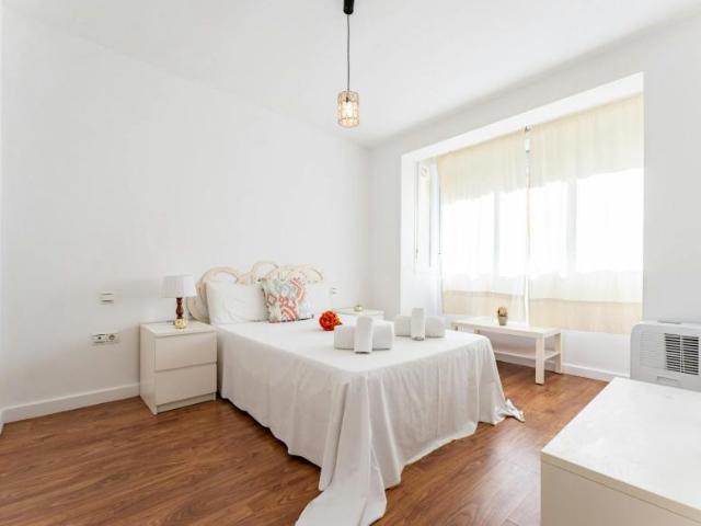 1 Dormitorio Apartamentos Málaga Málaga 106195149