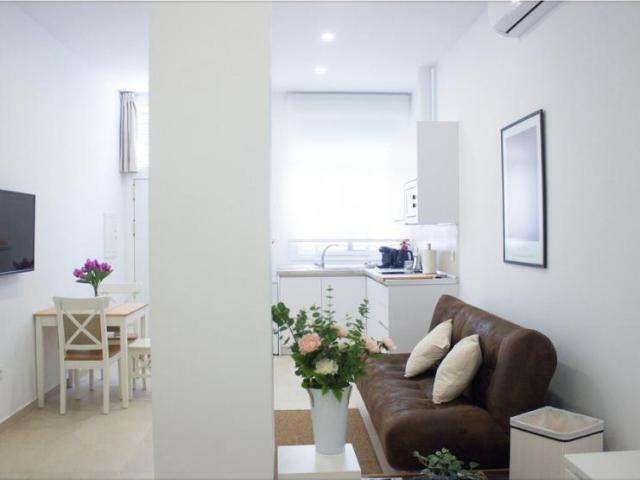 1 Dormitorio Apartamentos Málaga Málaga 101566685