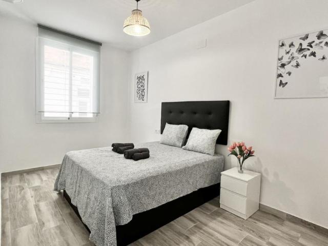 1 Dormitorio Apartamentos Málaga Málaga 101566681