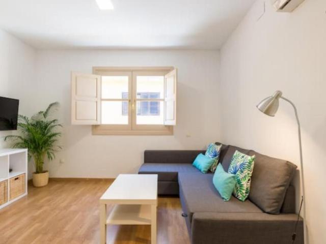 1 Dormitorio Apartamentos Málaga Málaga 103697392