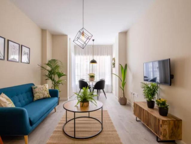 1 Dormitorio Apartamentos Malaga Malaga LS103285831