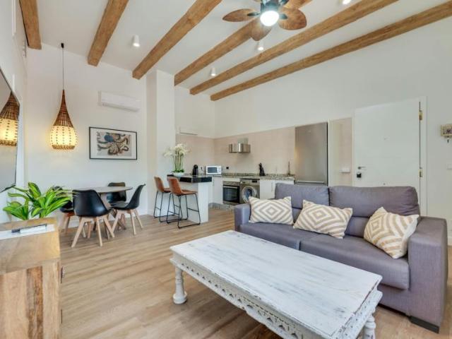 1 Dormitorio Apartamentos Málaga Málaga LS105345923