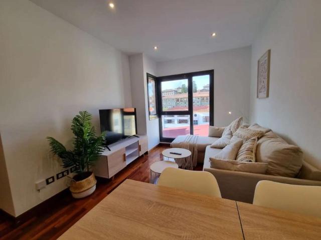 1 Dormitorio Apartamentos Oviedo Oviedo LS101836415