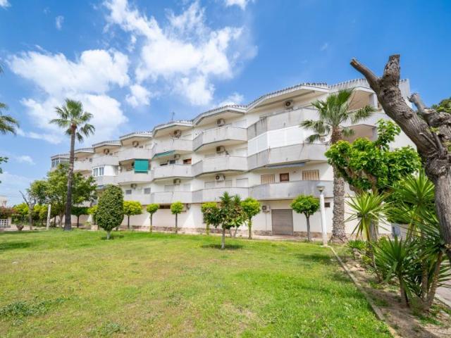 1 Dormitorio Apartamentos Orihuela Costa Alicante 102719515