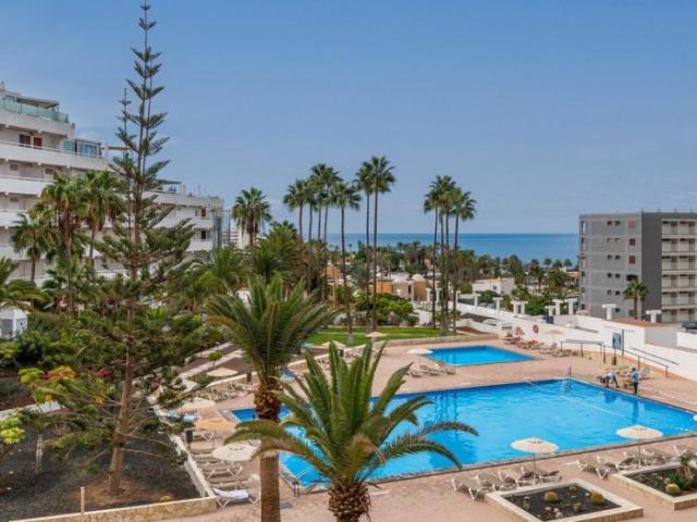 1 Dormitorio Apartamentos Adeje Adeje 99383354