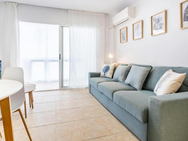 1 Dormitorio Apartamentos Alicante Alicante 105151543