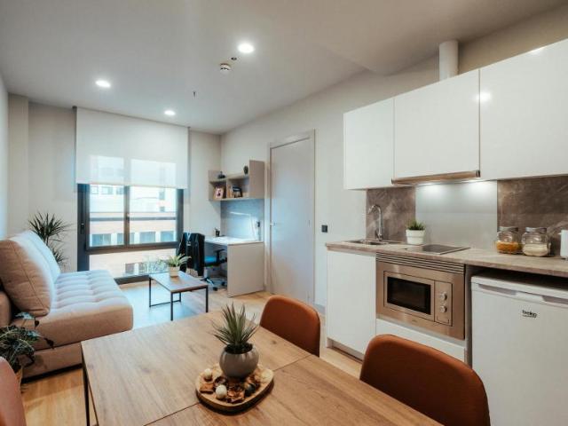 1 Dormitorio Apartamentos Barcelona Barcelona 102855212