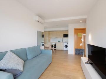 1 Dormitorio Apartamentos Barcelona Barcelona 103325311