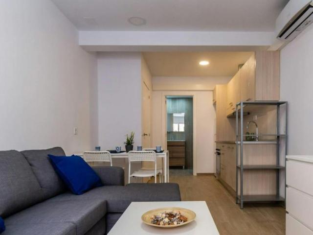 1 Dormitorio Apartamentos Barcelona Barcelona 103613897