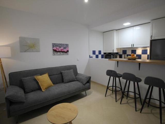 1 Dormitorio Apartamentos Benalmádena Benalmádena 95913844