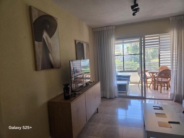 1 Dormitorio Apartamentos Benidorm Benidorm 103961141