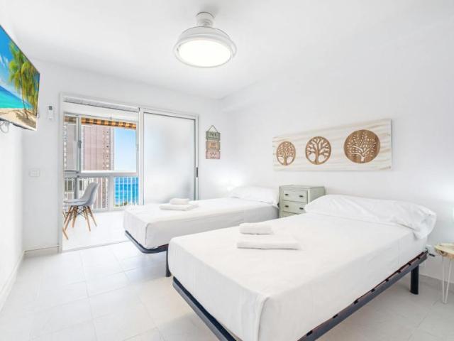 1 Dormitorio Apartamentos Benidorm Benidorm 104325408