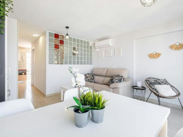 1 Dormitorio Apartamentos Benidorm Benidorm 104325410