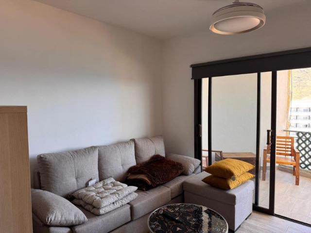1 Dormitorio Apartamentos Candelaria Candelaria 101566688