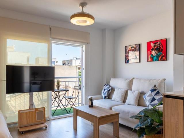 1 Dormitorio Apartamentos Elx Elx 105251084