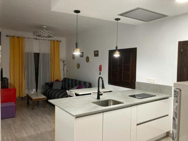 1 Dormitorio Apartamentos Granada Granada 94468903
