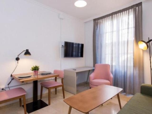 1 Dormitorio Apartamentos Granada Granada 103403729