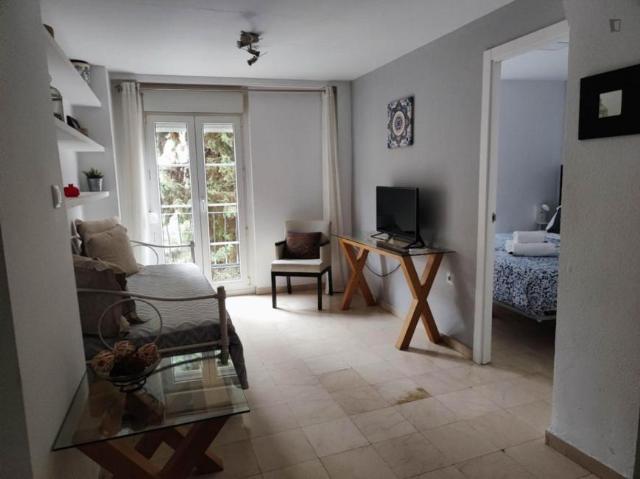 1 Dormitorio Apartamentos Granada Granada 103491345