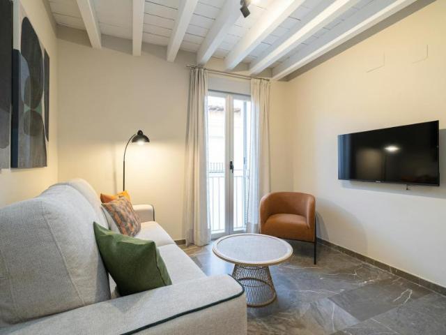 1 Dormitorio Apartamentos Granada Granada 104825675