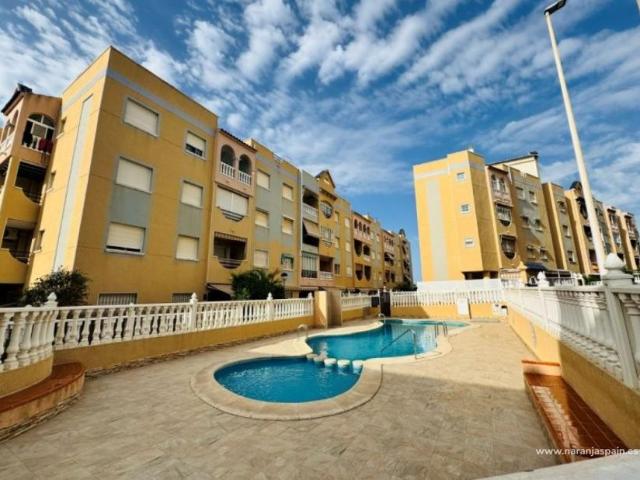 1 Dormitorio Apartamentos La Mata Alicante 105151995