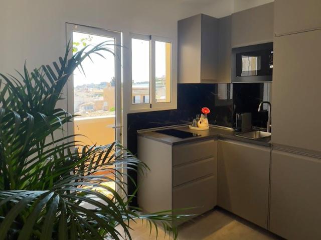 1 Dormitorio Apartamentos Palma Palma 101775005