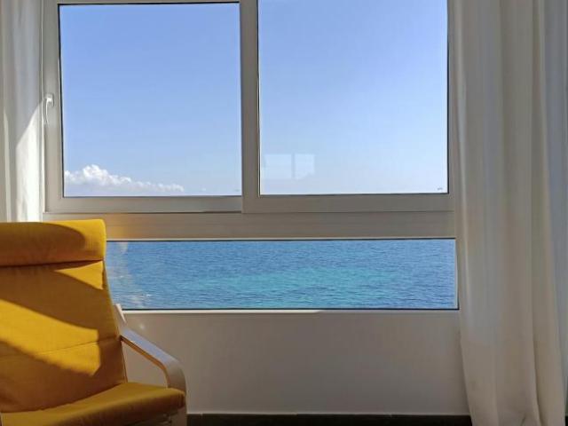 1 Dormitorio Apartamentos San Javier San Javier 102717372