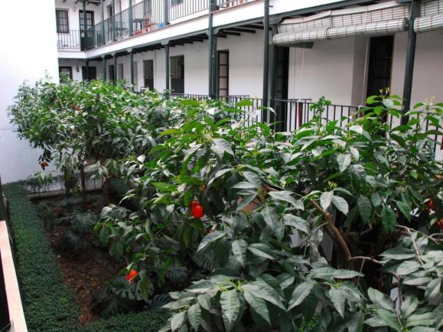 1 Dormitorio Apartamentos Sevilla Sevilla 99085895