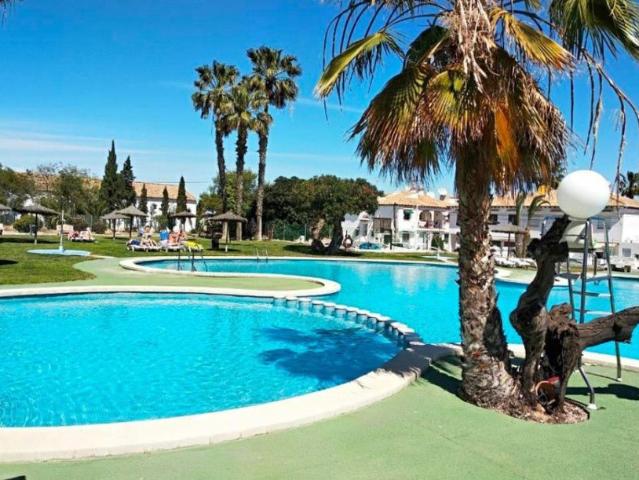 1 Dormitorio Apartamentos Torrevieja Torrevieja 103696207