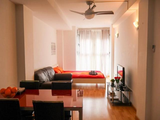 1 Dormitorio Apartamentos Valencia Valencia 103325423
