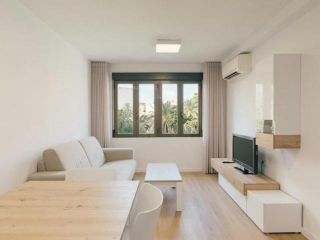 1 Dormitorio Apartamentos Valencia Valencia 103488523