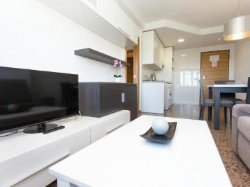 1 Dormitorio Apartamentos Valencia Valencia 103571211