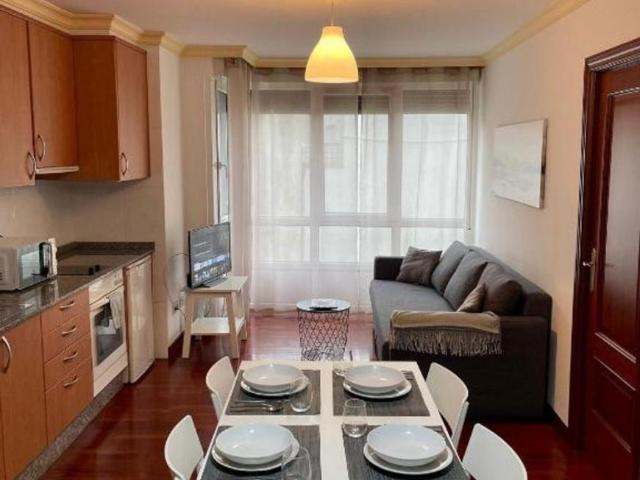 1 Dormitorio Apartamentos Vigo Vigo 99387764